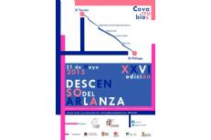 ¿quieres una forma diferente de disfrutar de Covarrubias? ¿quieres una forma diferente de disfrutar de Covarrubias?