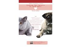 CENA DE SAN VALENTIN EN NUESTRO RESTAURANTE CENA DE SAN VALENTIN EN NUESTRO RESTAURANTE