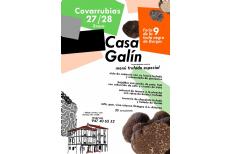 IX FIESTA DE LA TRUFA NEGRA DE BURGOS IX FIESTA DE LA TRUFA NEGRA DE BURGOS